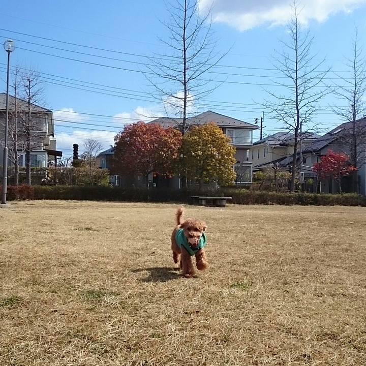 F4c526e3 a77b 40a6 8304 77a98bc8a3bd