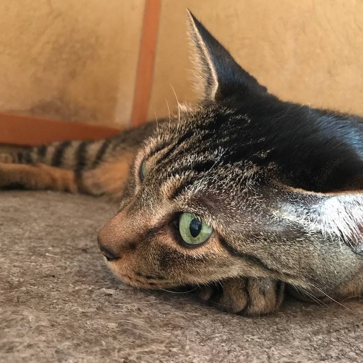 F4c577eb 22b1 414e 8d48 0cfc3a30c208