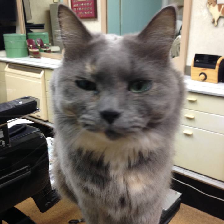 F4c6154c 5937 4b2b af91 137c31156c0e