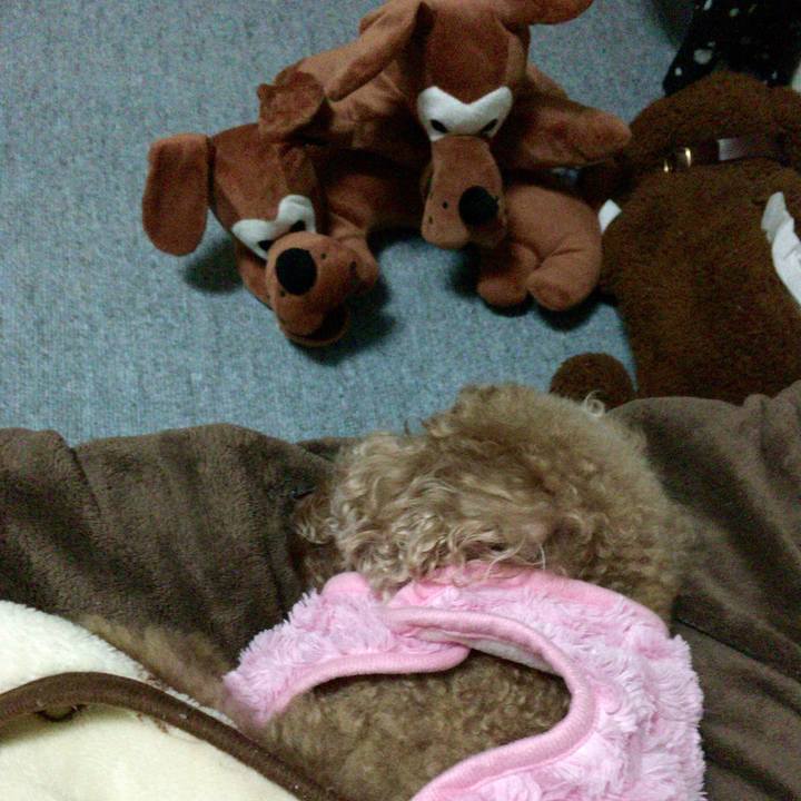 F4c6f8f6 cbb2 4a8a 8612 33b89e258cdc