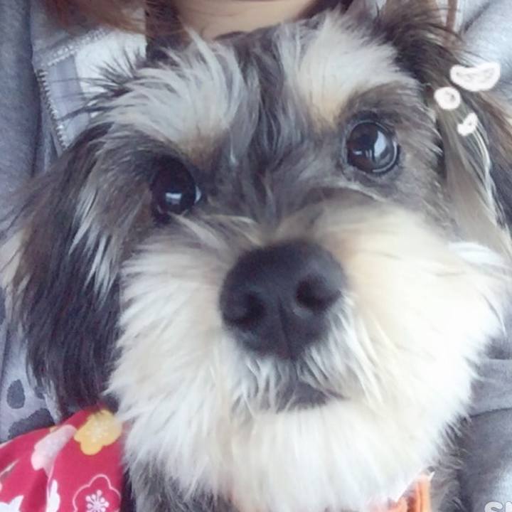 F4c722ea f7c8 4252 876e 406510fac51c