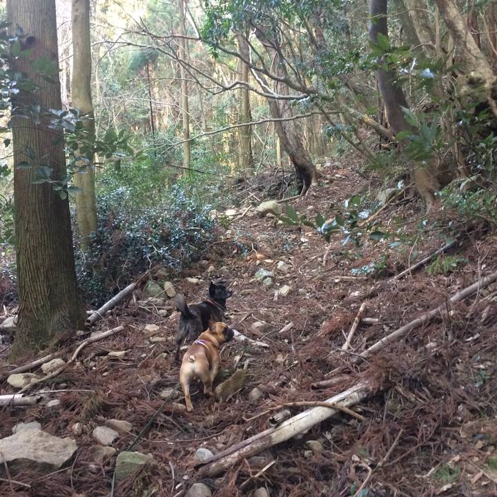 F4c729eb 2a88 41e7 a930 253429c1ff5e