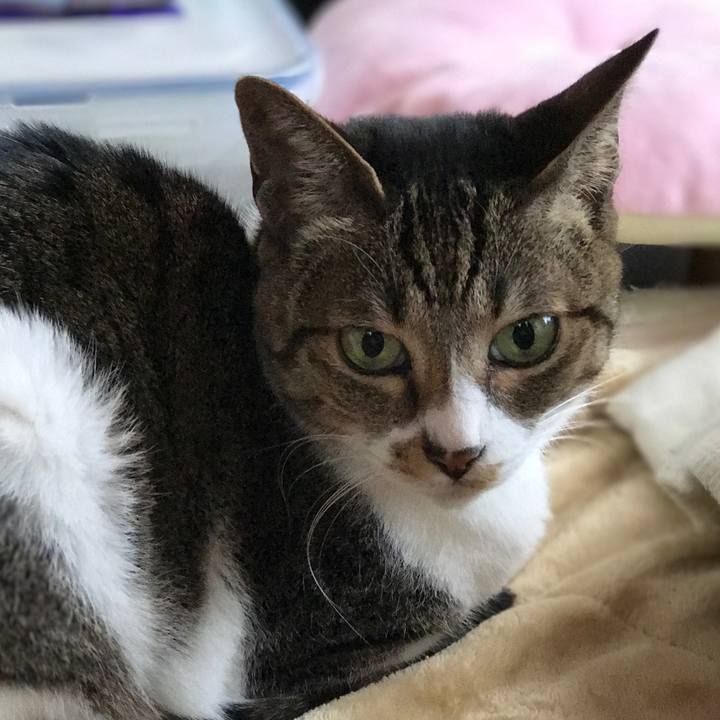 F4c75d11 0b30 459b bb25 c0a3ad96434f