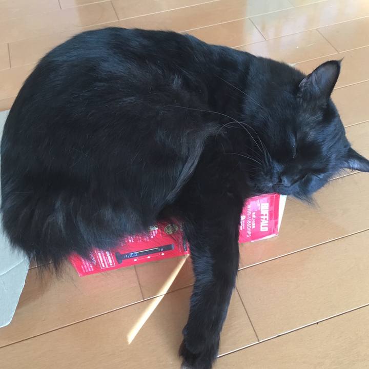 F4c80401 c5ad 4ddb 979b a4c3fdef9568