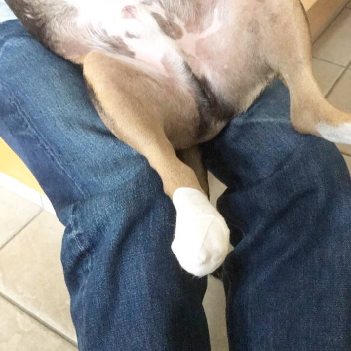 F4c85629 0f44 44e5 bca8 83faaa04adbb