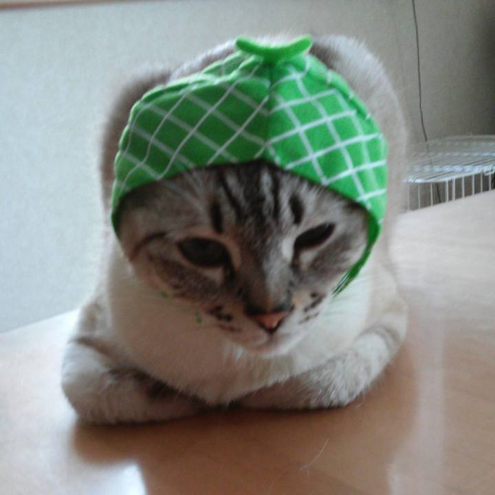 F4c8f95e 2ab7 44db 85ba 2a4e4fffa668