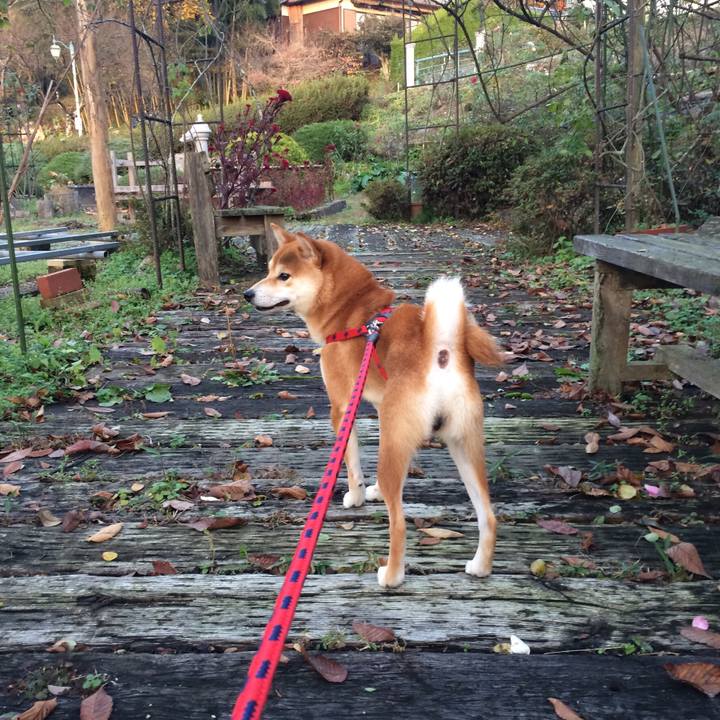 F4ca8d3c 8466 4fd3 8943 b54d1333deb1