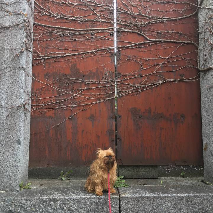 F4cb6efd b532 46e4 960f 62759eb02ca3