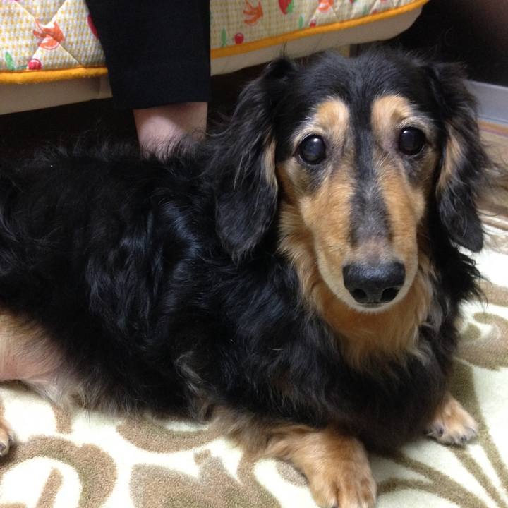 F4cbea35 c320 4acb 9598 ef6a9b1442cf