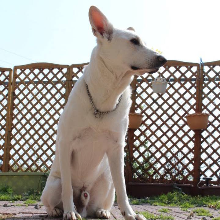 F4cc67a0 7d80 47e2 a3e9 3536ed4159b0