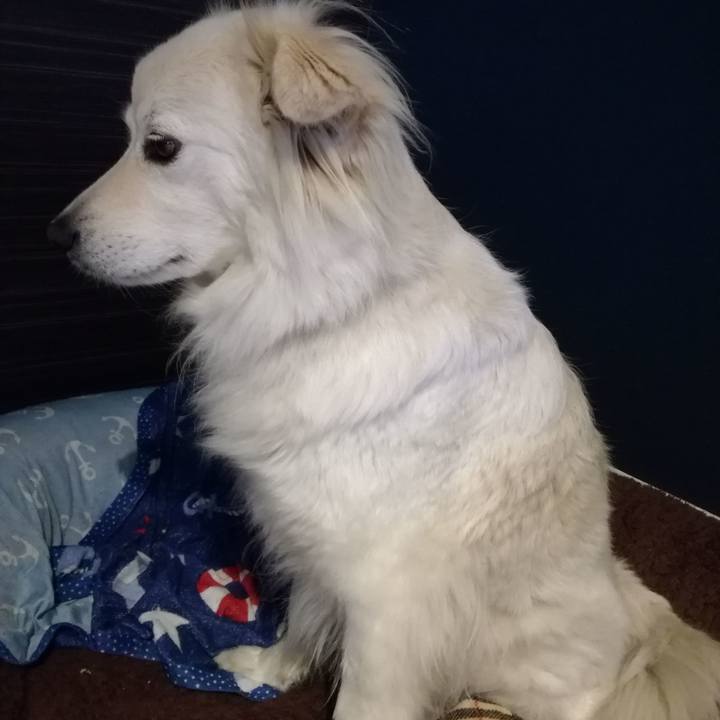 F4cc97ed 88c8 4603 8788 fbc3d927ca34