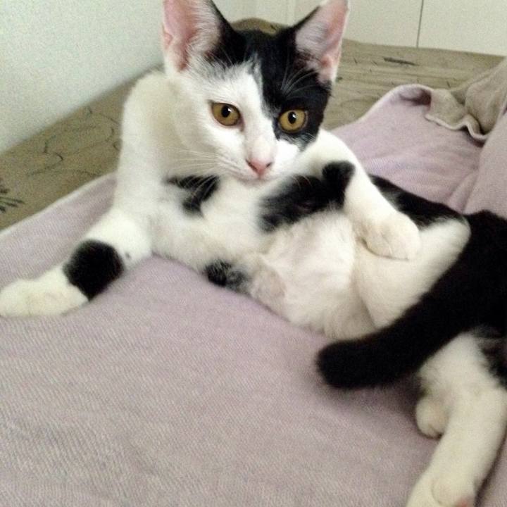 F4cd2df1 2e9d 424c 9d3e c001867214bd