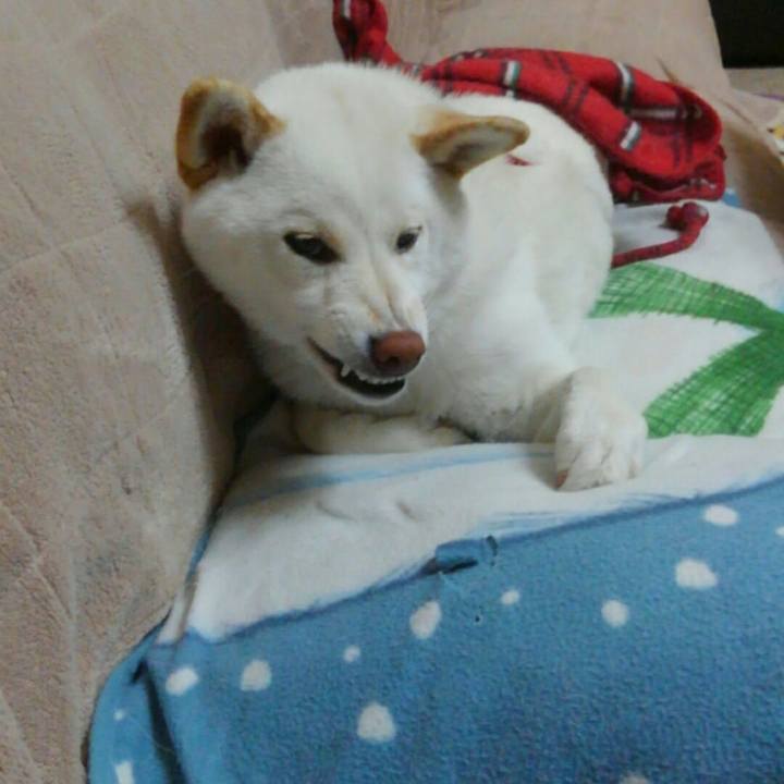 F4cdbe87 db84 4fa8 af19 0c5985b14437