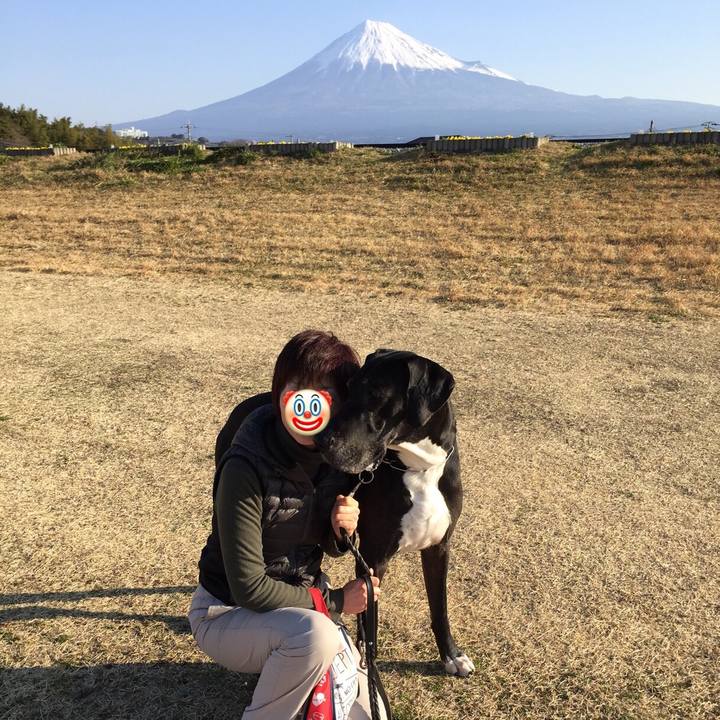 F4ceabf4 06e3 4e05 bd25 d2c6ad60e4b1