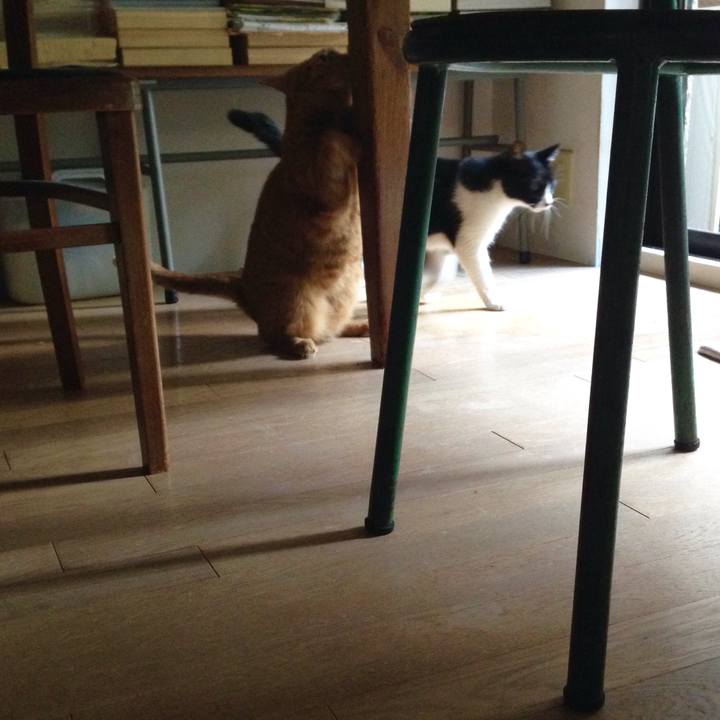 F4ceae00 e934 45c2 90b0 1bb535bb1e5a