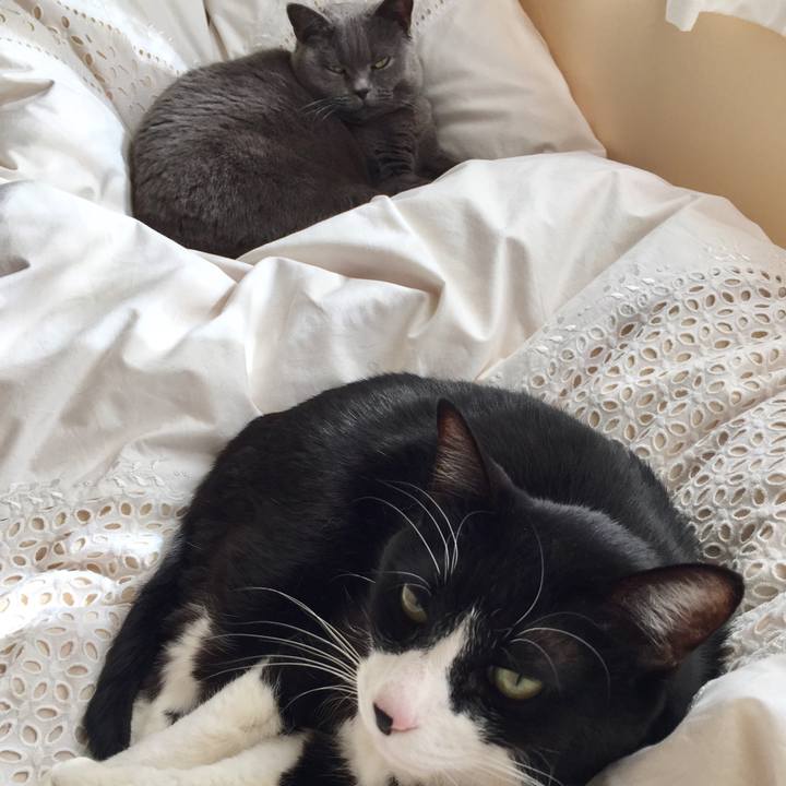 F4cebc70 8677 4975 9d61 8acf4e8bdbc6