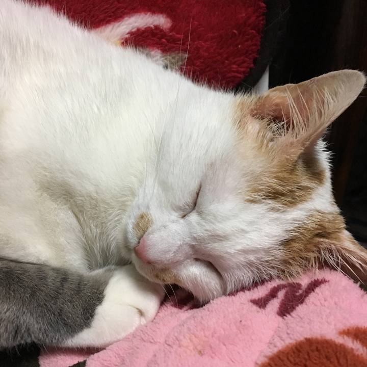 F4cf21f1 0d45 45b1 a91c e27c09069ac3