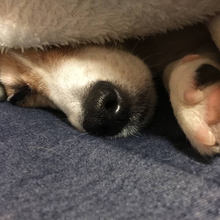 F4cf54f3 7f35 4b5d a302 2b02ca6627ff