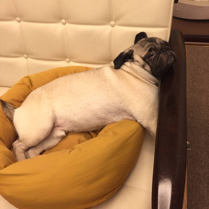 F4cf8772 4d03 41bc 8077 c2d77ff4c3c4