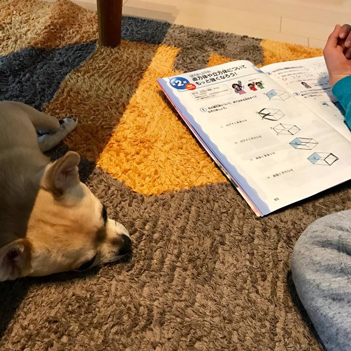 F4d0dd06 7acb 40ef a44b a9e9015a9f17