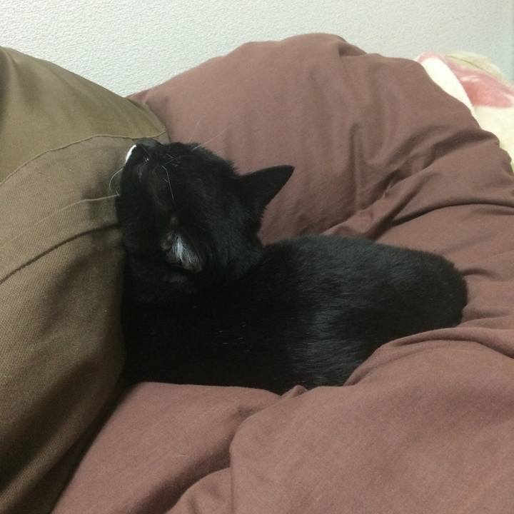 F4d0dddf fcd3 41b3 b56e 938280d8a31e