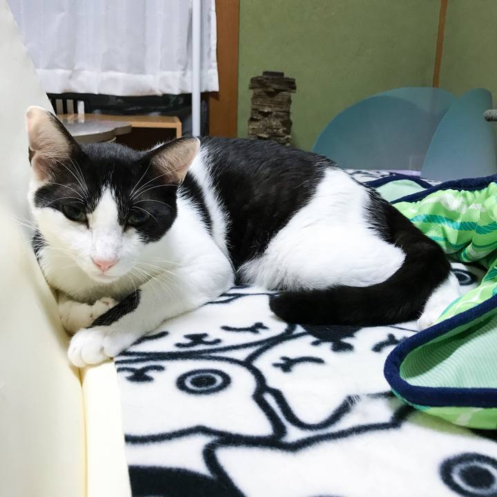 F4d194d7 2c7d 43cb 91f0 ac8d9bed4b11