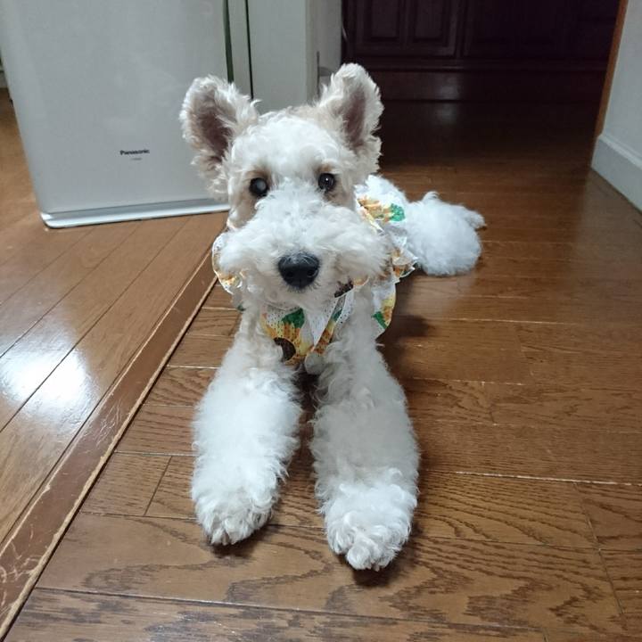 F4d1e266 d4ad 4be1 bbed a88d83e74836