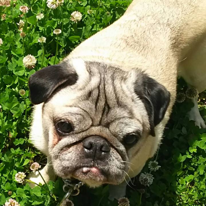 F4d27c00 9aea 4da5 b297 7a108f479244