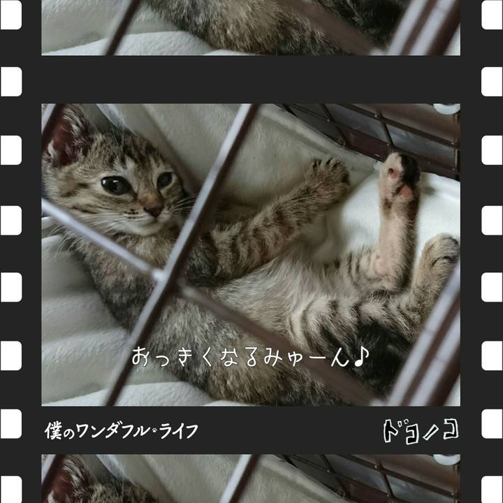 F4d2d83d fb47 404f 8645 c906f4e5c9aa