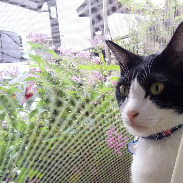 F4d3496a 199f 44ad 8af1 4af16a7182f7