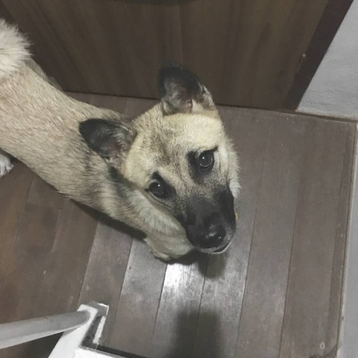 F4d359a1 320f 4549 a9db 72e9b1b3bd42