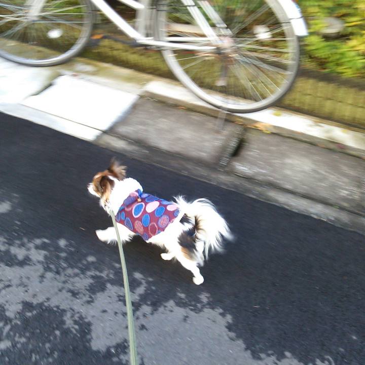 F4d35d6b f532 47eb 8edf d4ab4cd8f90e