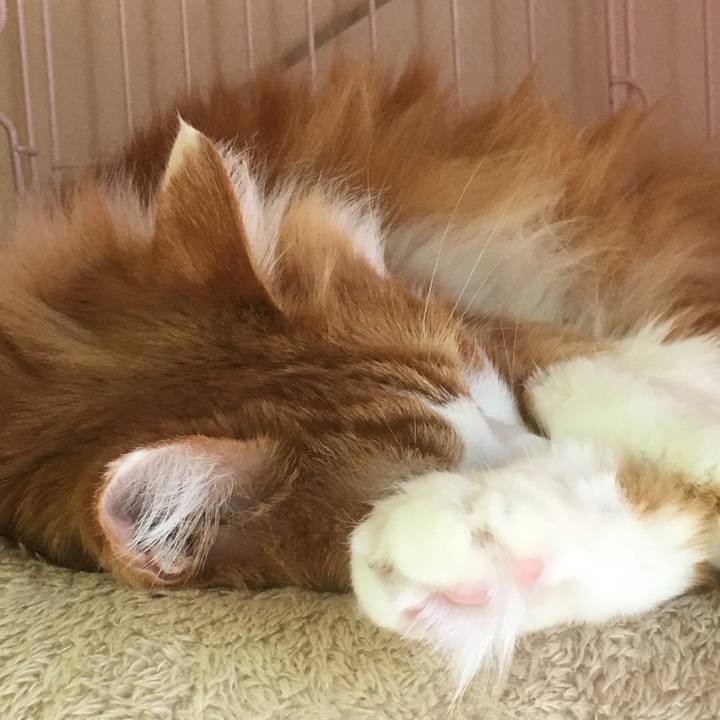 F4d3e40d f2d4 43da a514 e5eb0fe88257