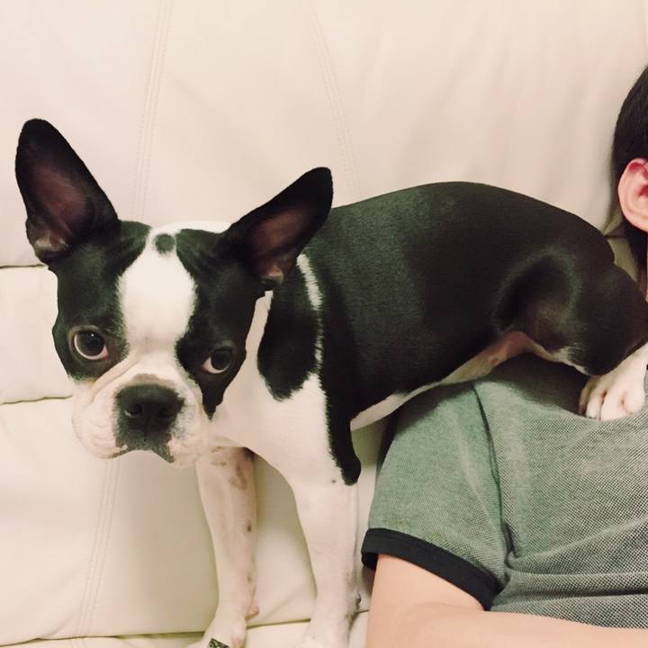 F4d45bcc 4328 4dc1 a8b2 2eb44a767b30