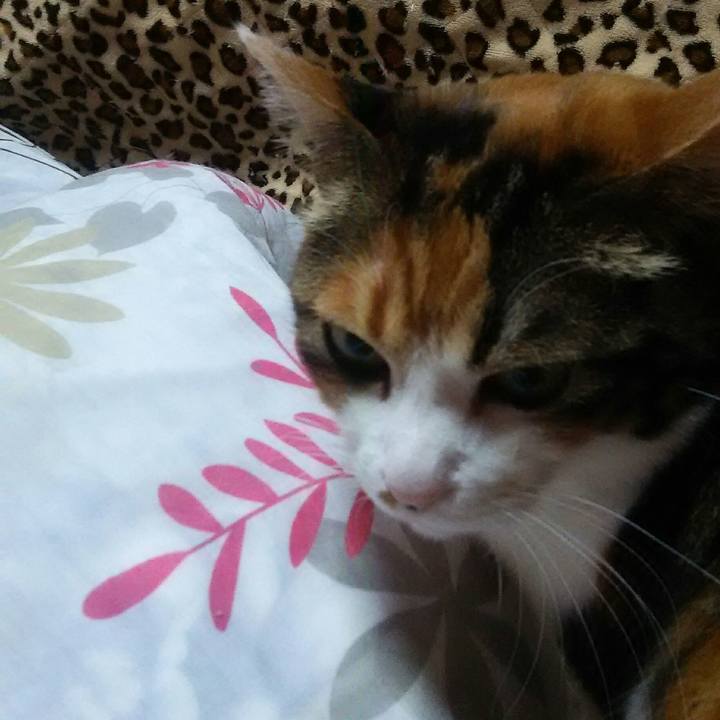 F4d59462 73bf 4813 8f2c 725deca6cdb2