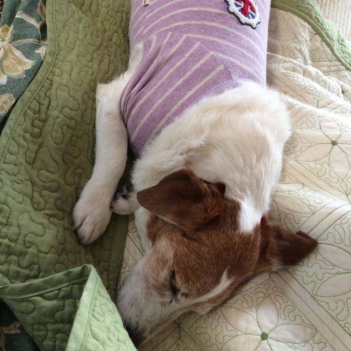 F4d5a314 e1ef 4c1a a1b6 9e59a64b61f5