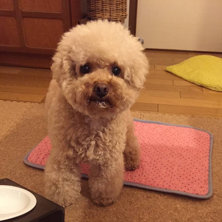 F4d5cd58 fba7 409e 889d 682c1ade9b62