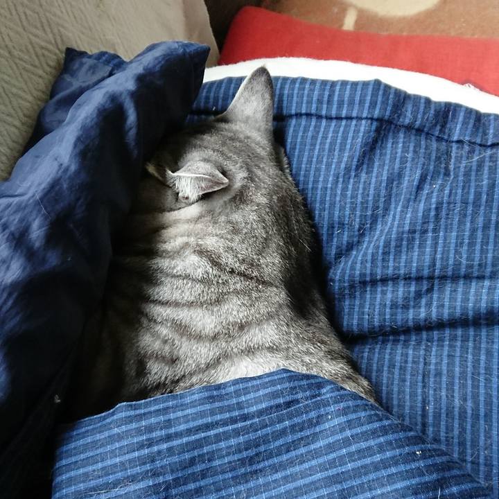 F4d6097c 9b09 4def b225 159053a61d77