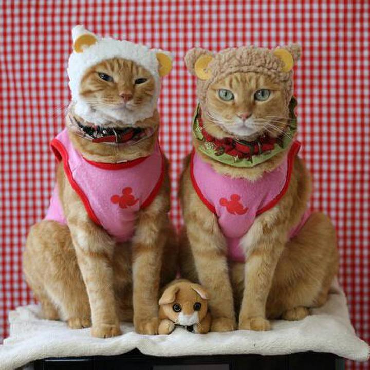 F4d62e9a ec3e 4977 80eb becdef04f744