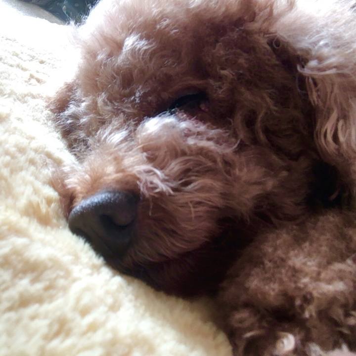 F4d6c42e a469 44b2 878a 9721640f73d0