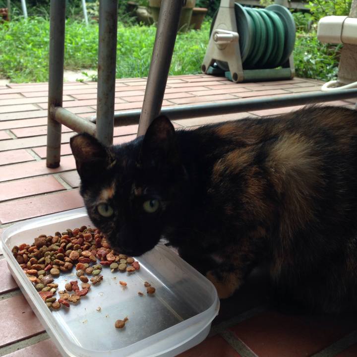 F4d740b9 0cd7 457d 9241 dc905487de1b