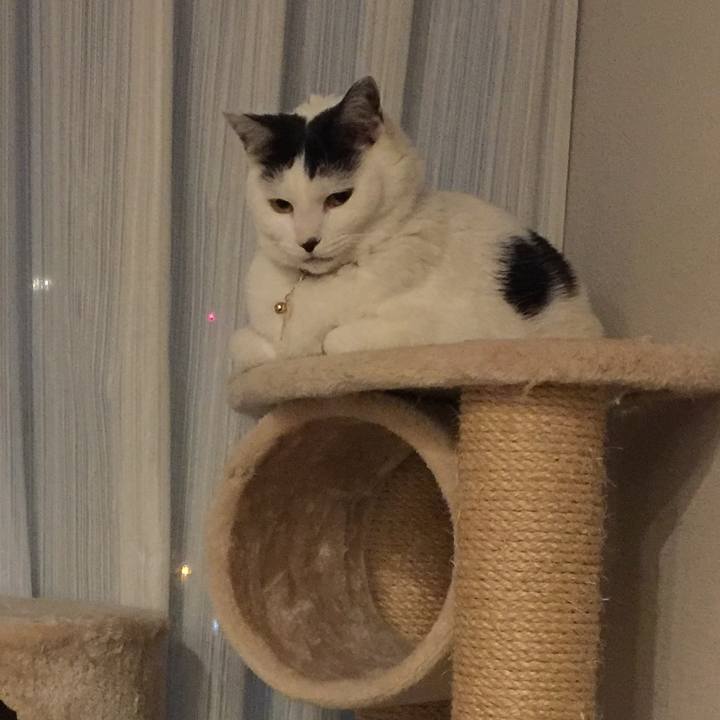 F4d7972b fee9 4767 9d2e 379bed96d223