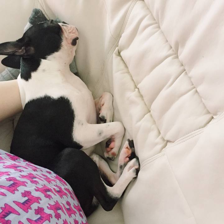 F4d88c7f 0ff8 4a38 9840 4fa40b0141e6