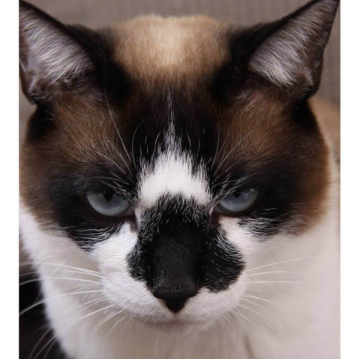 F4d92670 55c5 40d3 bf42 0c5973f4943f