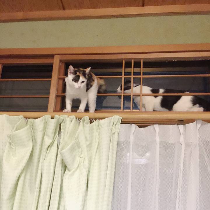 F4d94ba8 d74d 40d0 bd06 0feb22bfaf3a