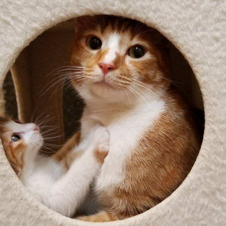 F4d95881 bb4c 494b 95f5 4098305b8d6f