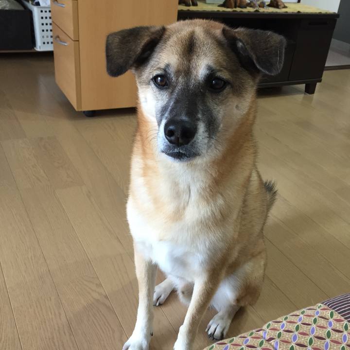 F4d9ab08 13d6 4bdd 859e fa183d991ec3