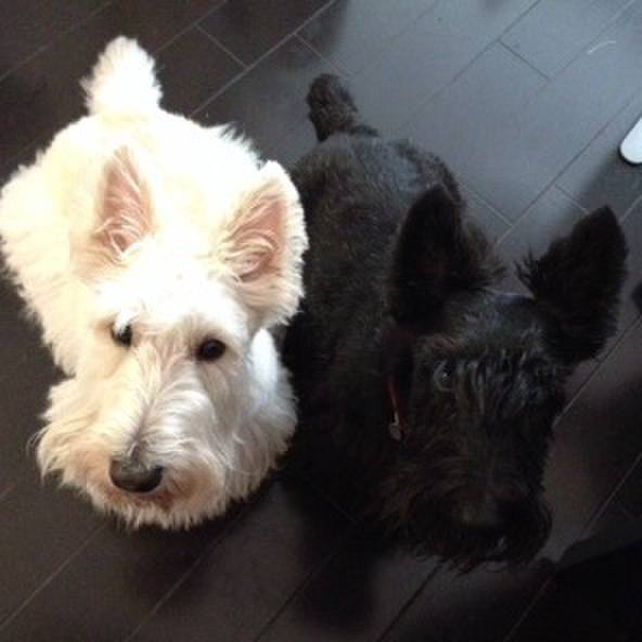 F4d9c996 0e3d 48d1 9f7a 673261e247f6