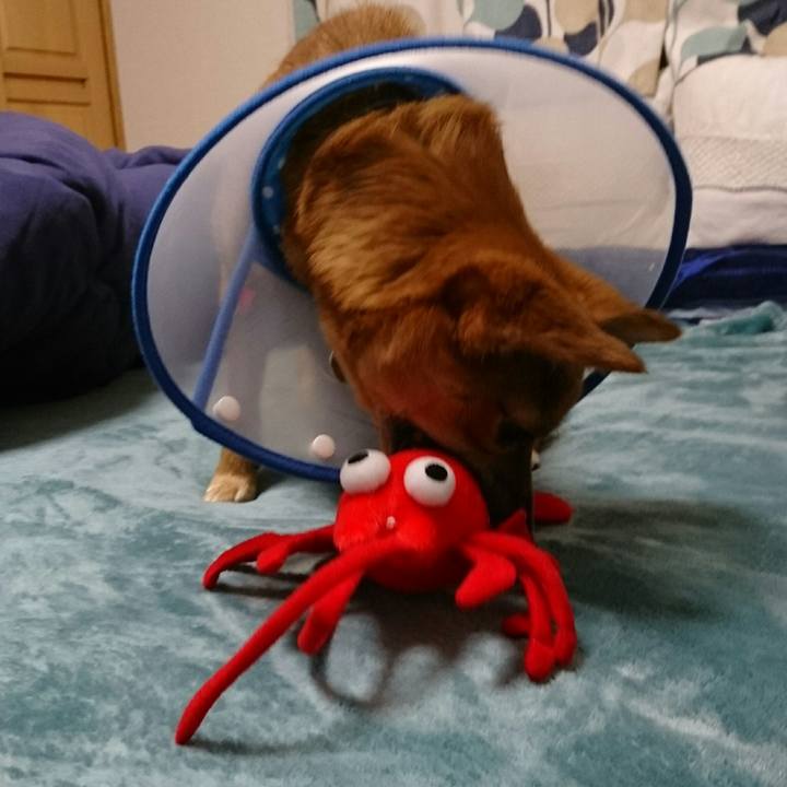 F4da37b6 9b7a 4cbe ad17 295f39327d4a