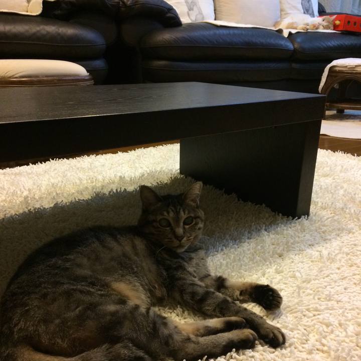 F4da5e69 61f7 403b baaf 23a575cfc968